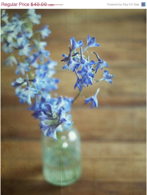 40% OFF SUMMER SALE Large Photo, Flowers, Blue, Home Decor - Lacey Q - 11x14 Signed Print by Tina Crespo Philadelphia Photographer