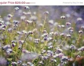 40% OFF SUMMER SALE In the details - 8x12 Floral Fine Art Photograph - Tina Crespo