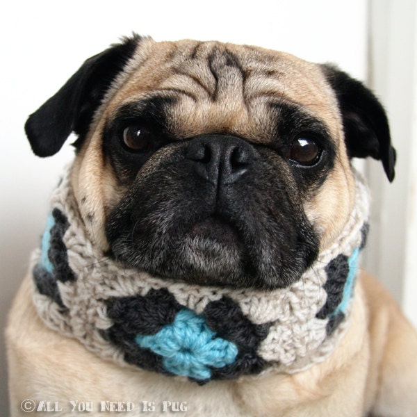READY to SHIP - Dog Collar- Granny Square Neck Warmer