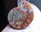 SALE. ammonite necklace in chocolate and sterling silver. silver necklace. fossil.  splurge.