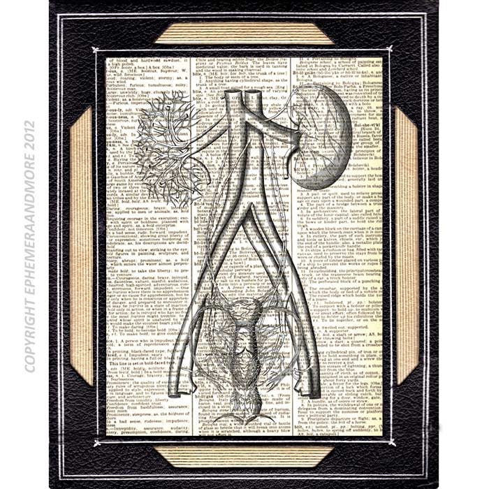KIDNEYs ANATOMY art print human anatomy medical science nephrology urinary tract vintage dictionary book page dictionary print 8x10