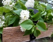 Ready to Ship -Rustic and Recycled Red Barn Wood Basket with a Leather Handle
