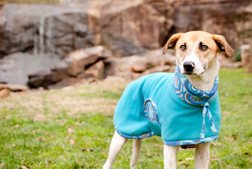 Dog Coat - Girl Size Medium