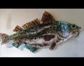 A Nice-Sized Fish