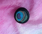 Peacock Feather Pill Box, Travel Jewelry Box, Ring Box, Tooth Fairy Box