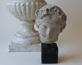 one mini head
