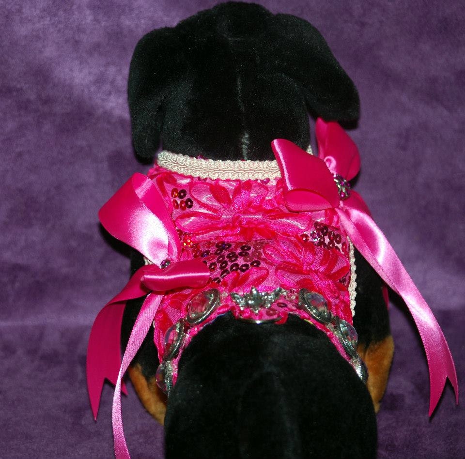 The Millie Rose Harness comes in 5 sizes xxxs to Medium