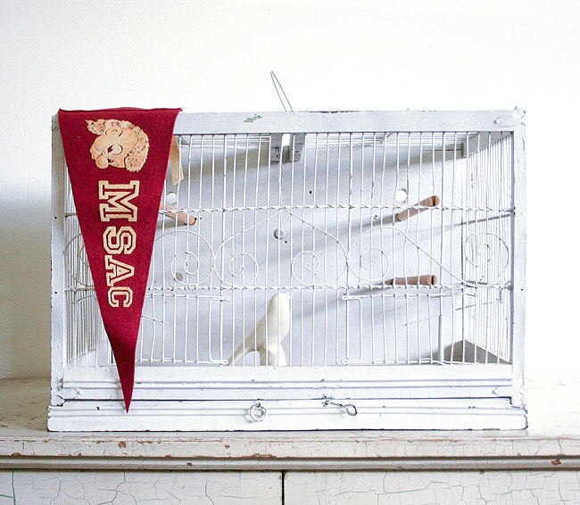 Vintage Birdcage / Large Rectangular / Cottage Decor