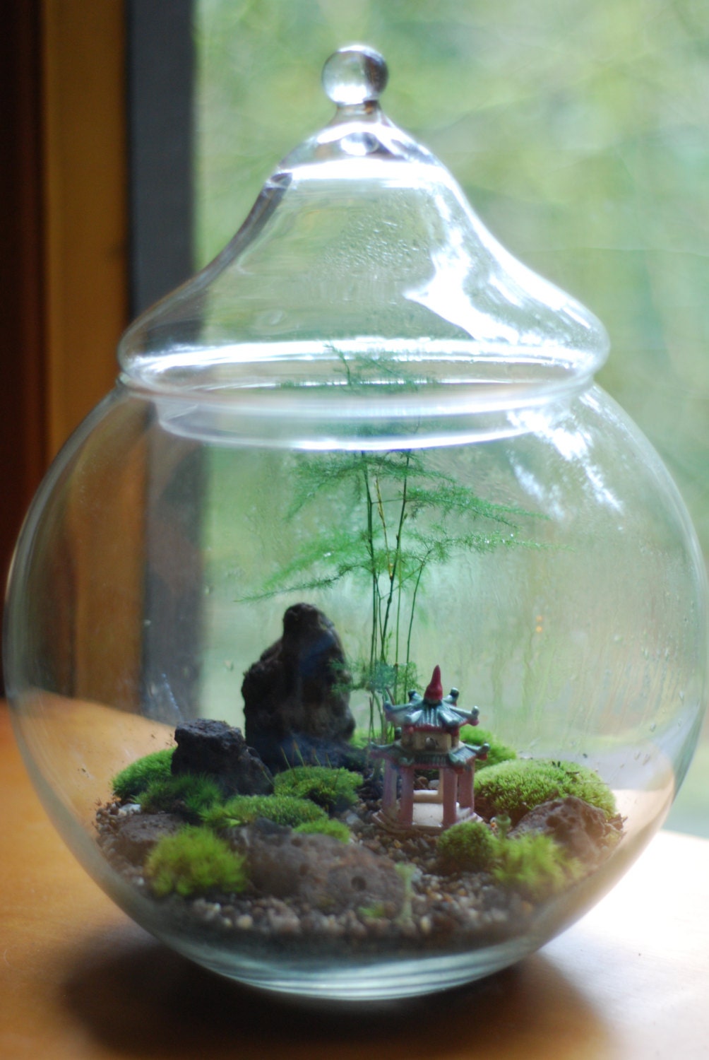 the pink pagoda terrarium