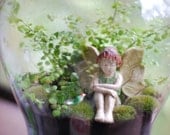 fairy and tiny bird terrarium