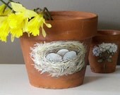 Nature Clay Pot Painted Woodland Bird Nest Garden Herb Planter Bird Eggs