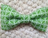 Little Man Bow Tie