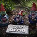 Zombie Gnomes, FULL SET