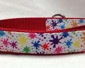 Paint Splatter Dog Collar
