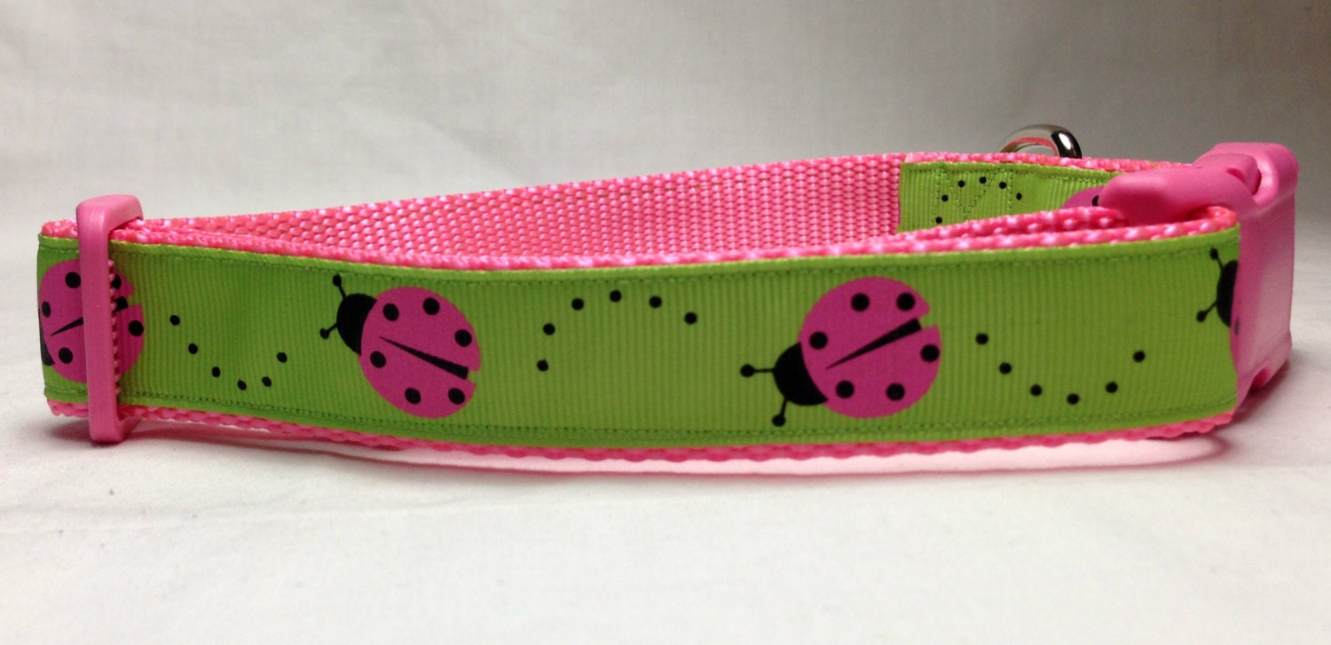 Ladybug Hot Pink Dog Collar