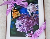 Set of 10 Boxed Butterfly Garden Photo Cards-Fine Art Photography-Paper Goods-Garden Butterflies