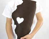 SALE Ready Made Illinois State Pillow in Brown