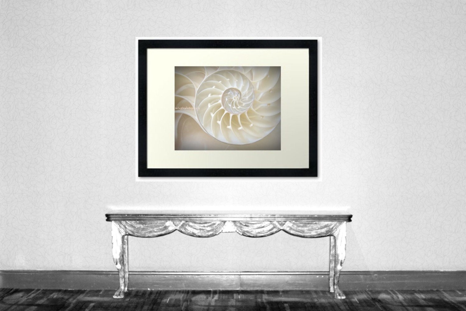 Ocean Dreaming - Nautilus Shell Beach treasury Ocean is calling Beach bum Beach house decor Summer Fine Art Print 16x20 - Limited 4/50