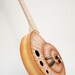 Snail ukulele (snailele) acoustic electric