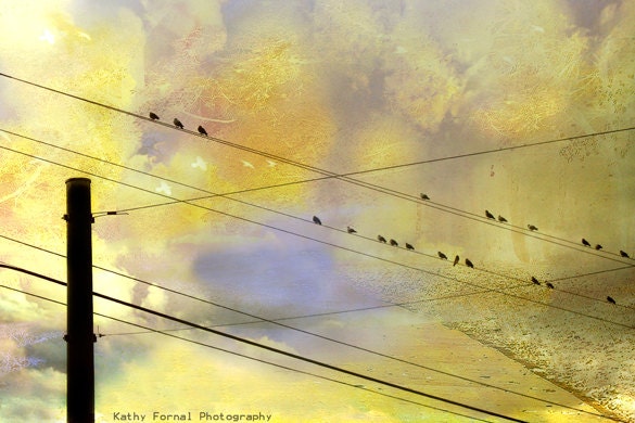 Birds Photography - Dreamy Birds Powerline, Spring Yellow Nature, Bird, Yellow, Blue Fine Art Nature Photograph 8" x 12"