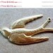 Special 10 Bird Connector in Raw Brass Swallow Brass Stamping AS-W234R-12 WHOLESALE Bulk Lot