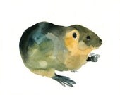 NUTRIA Original watercolor painting 10X8inch