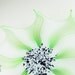 Morning Glory Blown Glass Wall Art Light Green and White Wall Decor Wall Hanging