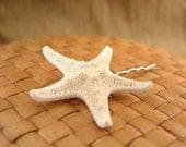 White Knobby Starfish Bobby Pin, Beach Wedding Hair Accessories