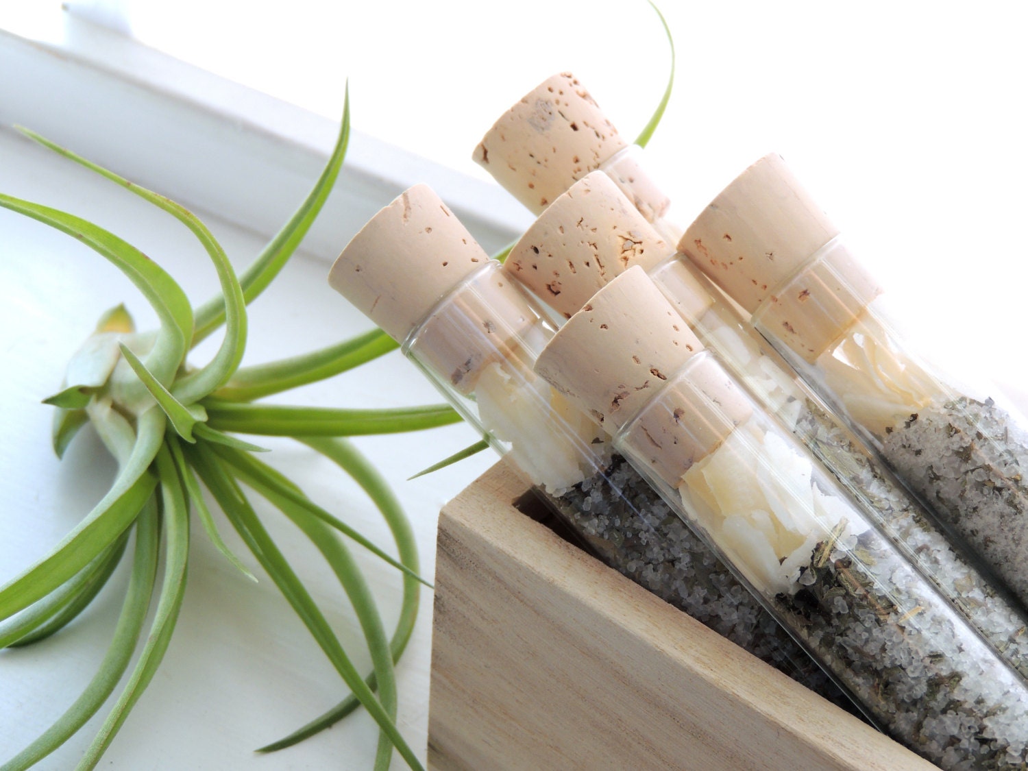 Organic & All Natural Coconut Basil Herbal Bath Salt Test Tubes. (Enliven Bath Affirmations) Wedding, Eco, Hostess, Spa, Luxury Gift Set.