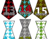 Monthly Onesie Stickers...Set of 12 Boys...Houndstooth Ties...Ready to Ship...Waterproof....Months 13-24...Uncut Read Description