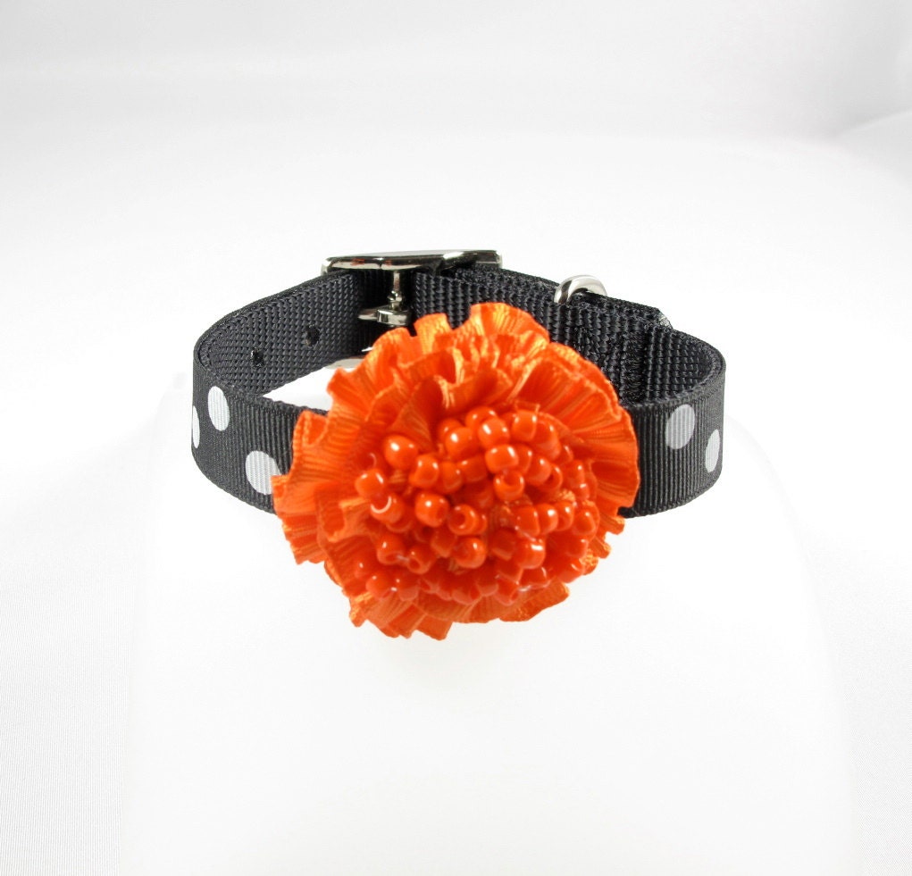 Black & White Polka Dot Collection Dog Collar (Orange) Pet Collar