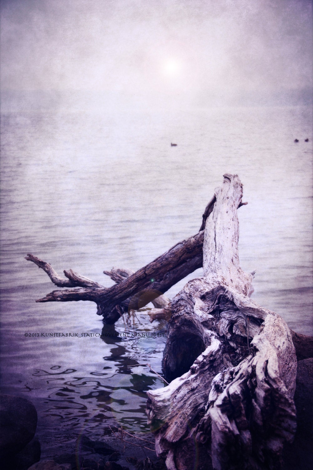 Drift Light 8x10  Photograph