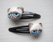 Grumpy Cat Polymer Clay Hair Clip Set