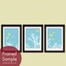 Birds above Tree Branches (Series A) Set of 3 - 5x7 Art Prints (Featured in Malibu and Sunshine) Nature Woodland Inspired