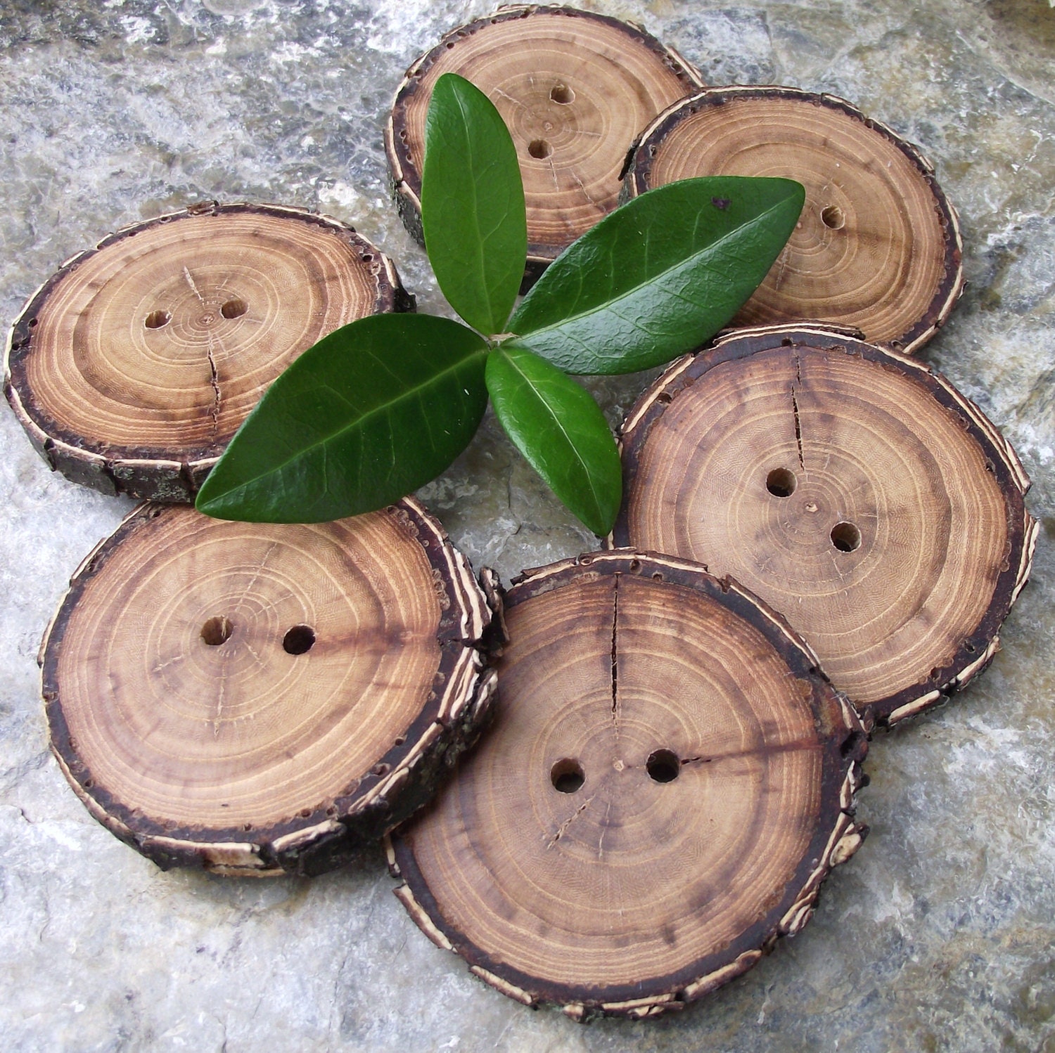 Large Wood Buttons - 6 Wooden Tree Branch Buttons with Bark - 2 inches, 2 holes, For Journals, Pillows, Handbags, Knitting
