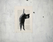 Digital INSTANT DOWNLOAD  Art DIY  - Mr Raperonzolo - cat's jpeg printable - verityunmondoaparte