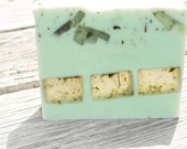 Spearmint Peppermint Tea Tree Oil Soap / Kaolin Clay Soap / Garden Art Soap Series /  Cold Process Handmade Soap