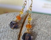 Fanciful Multi Colored Dangle Earrings