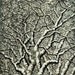 Original Hand Pulled Fine Art Woodblock Print - Tree No. 23 - Grey OOAK Limited Edition Reduction Moku Hanga Print