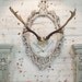 Painted Cottage Chic Shabby Farmhouse Deer Antlers HD31