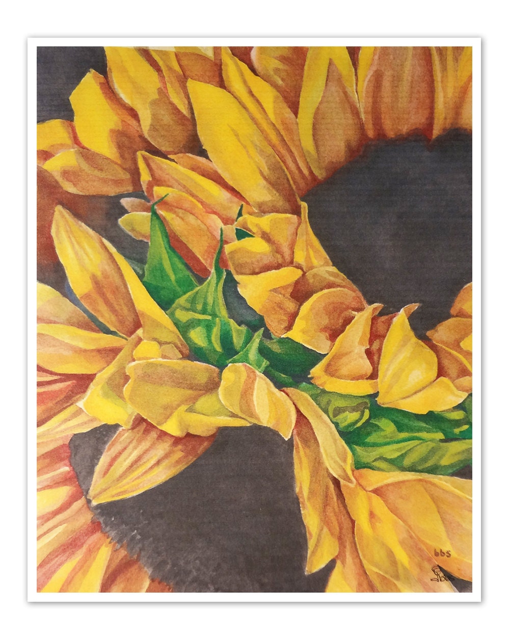 sunflower painting, art print, watercolor sunflowers