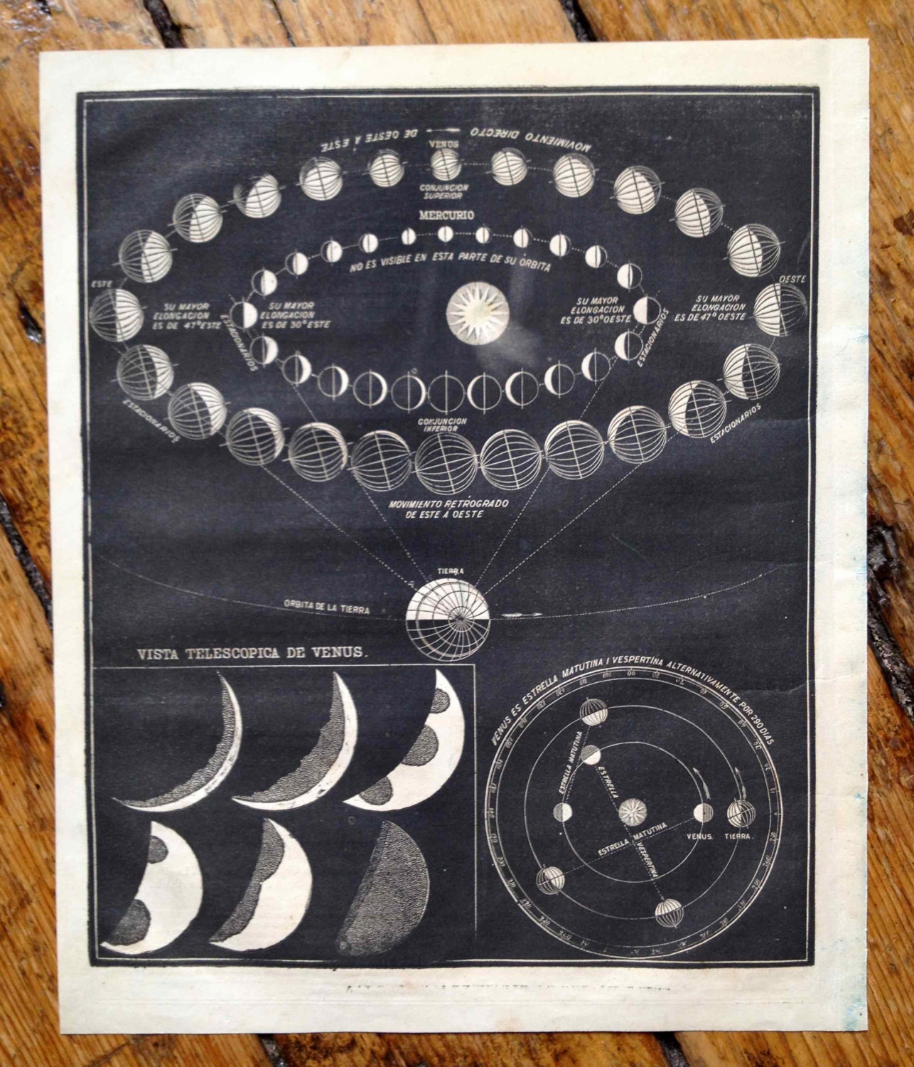 1857 planet venus celestial print original antique astronomy lithograph - orbits of planets venus and mars