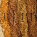 DollyMo Large Loop Mohair
