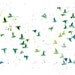flock birds  -Watercolor-bird painting-Archival Print from my original watercolor painting 11x14 inch
