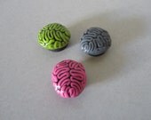 Brain magnets set of 3 brains
