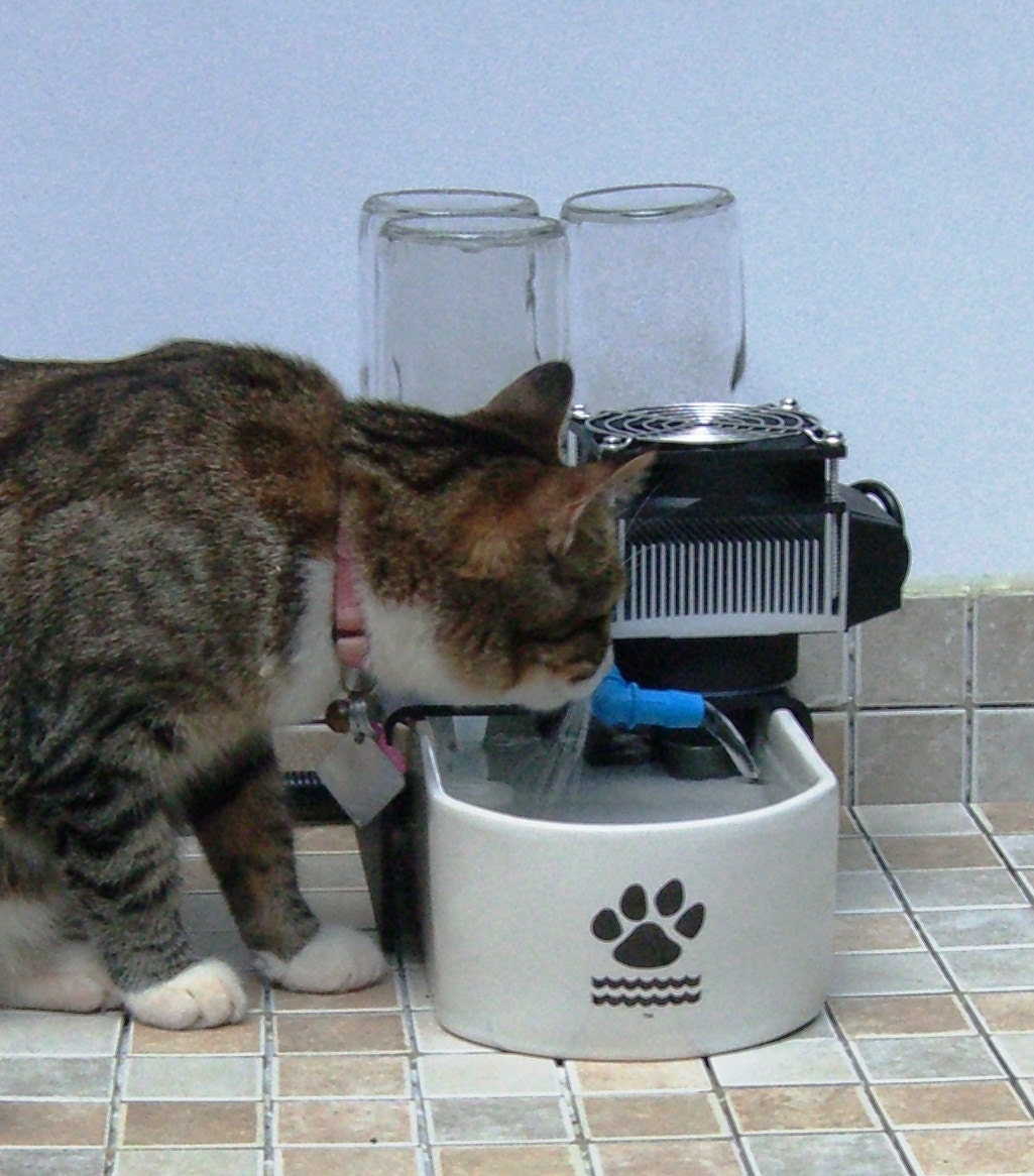 Ceramic Cat Fountain Cold Water Glacier Point Pet USA Made Basin Glass Refill FREE Food Dish