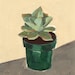 Succulent .  giclee art print of potted plant painting