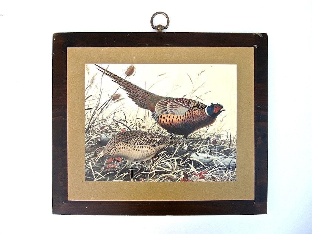 Wm Zimmerman Pheasant Print on Wood Plaque