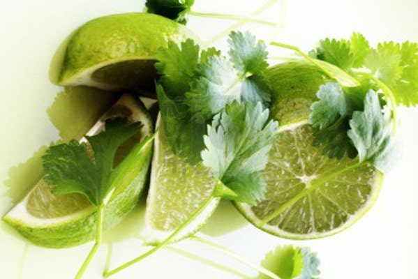 3.5oz Clamshell Candle Soy Tart Melts...Coriander and White Lime.