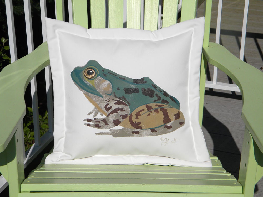 Frog pillow bullfrog indoor outdoor amphibian 20"x20" handsome prince frog legs pond stream garden Crabby Chris Original